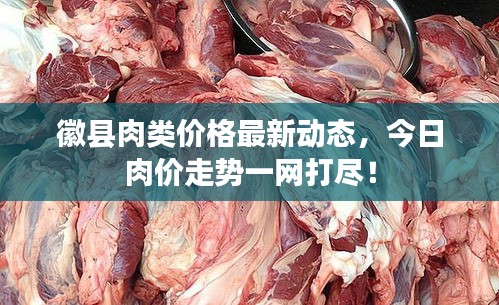 徽縣肉類價(jià)格最新動(dòng)態(tài)，今日肉價(jià)走勢(shì)一網(wǎng)打盡！