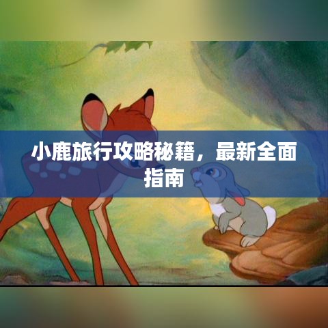 小鹿旅行攻略秘籍，最新全面指南