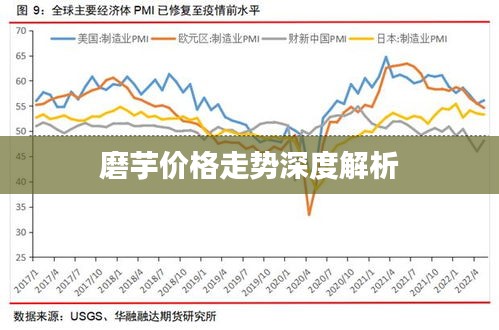 磨芋價(jià)格走勢(shì)深度解析