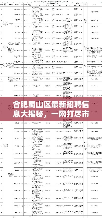 合肥蜀山區(qū)最新招聘信息大揭秘，一網(wǎng)打盡市區(qū)各大企業(yè)職位空缺