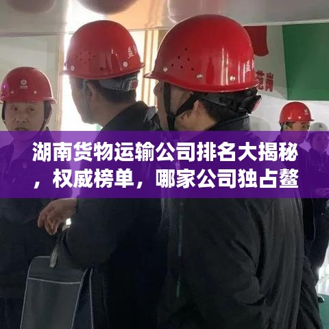 湖南貨物運(yùn)輸公司排名大揭秘，權(quán)威榜單，哪家公司獨(dú)占鰲頭？