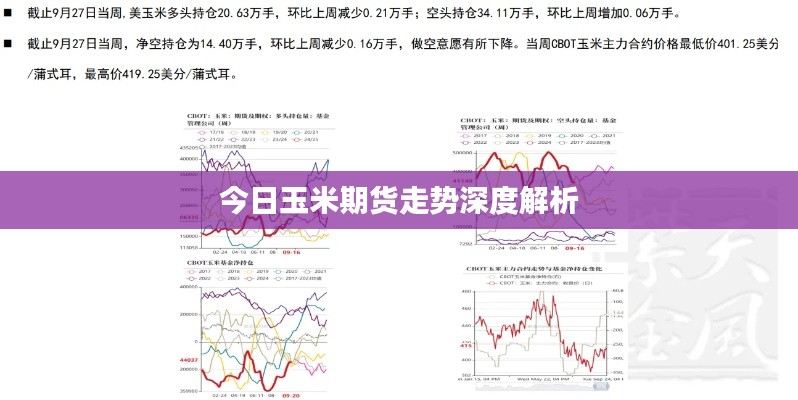 今日玉米期貨走勢深度解析