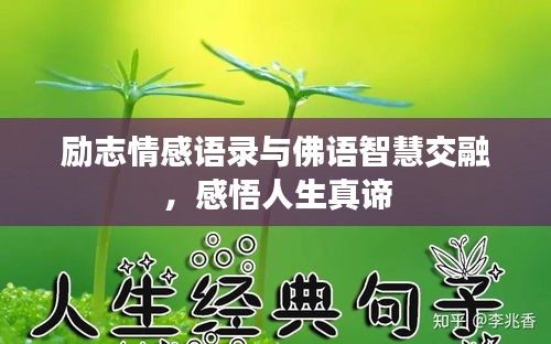 勵志情感語錄與佛語智慧交融，感悟人生真諦