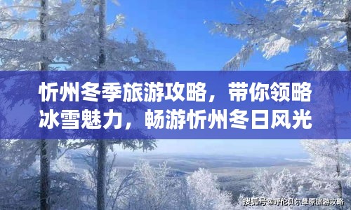 忻州冬季旅游攻略，帶你領(lǐng)略冰雪魅力，暢游忻州冬日風(fēng)光！