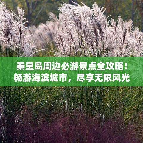 秦皇島周邊必游景點(diǎn)全攻略！暢游海濱城市，盡享無限風(fēng)光