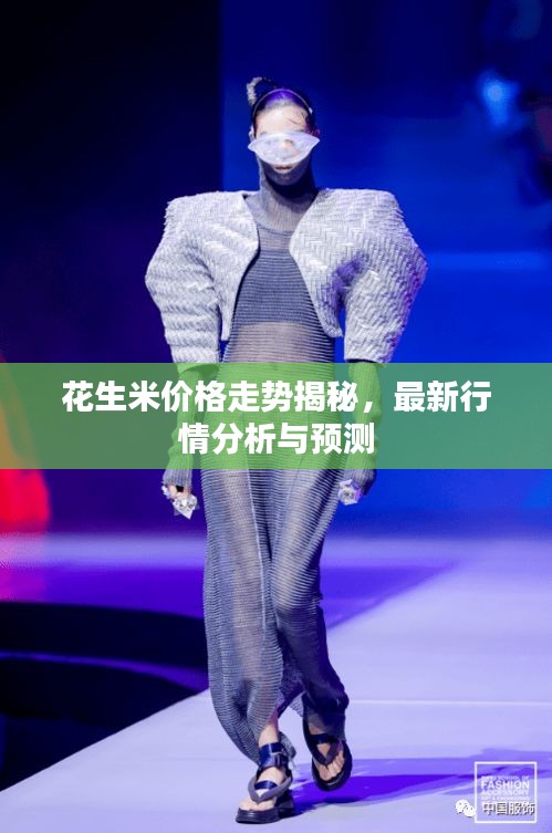花生米價格走勢揭秘，最新行情分析與預(yù)測