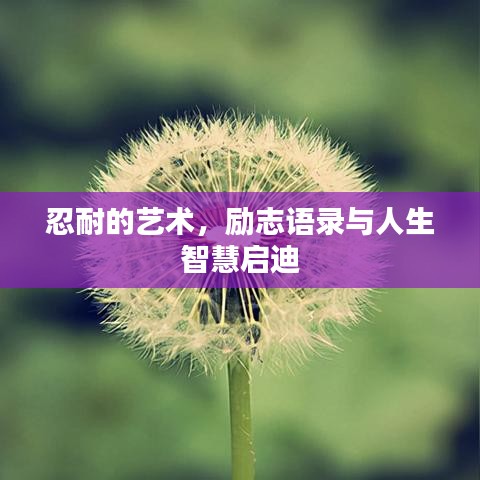 忍耐的藝術(shù)，勵志語錄與人生智慧啟迪