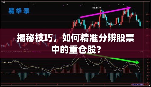 揭秘技巧，如何精準(zhǔn)分辨股票中的重倉(cāng)股？