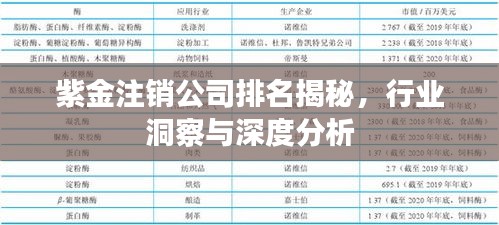 紫金注銷公司排名揭秘，行業(yè)洞察與深度分析