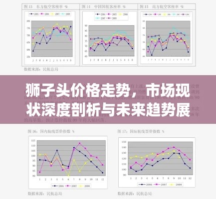 獅子頭價格走勢，市場現(xiàn)狀深度剖析與未來趨勢展望