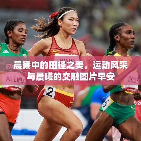 晨曦中的田徑之美，運動風(fēng)采與晨曦的交融圖片早安