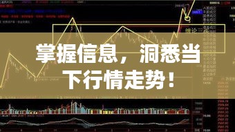 掌握信息，洞悉當下行情走勢！