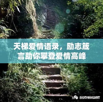 天梯愛情語錄，勵(lì)志箴言助你攀登愛情高峰