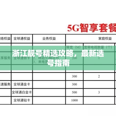 浙江靚號精選攻略，最新選號指南