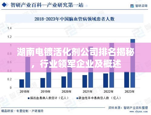 湖南電鍍活化劑公司排名揭秘，行業(yè)領(lǐng)軍企業(yè)及概述