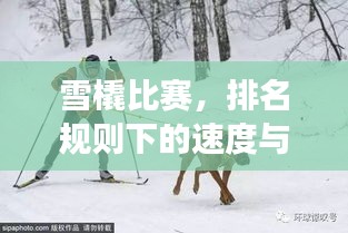 雪橇比賽，排名規(guī)則下的速度與激情角逐