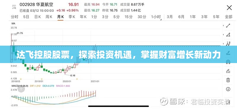 達(dá)飛控股股票，探索投資機(jī)遇，掌握財(cái)富增長(zhǎng)新動(dòng)力