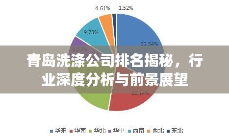 青島洗滌公司排名揭秘，行業(yè)深度分析與前景展望