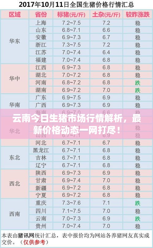 云南今日生豬市場行情解析，最新價格動態(tài)一網(wǎng)打盡！