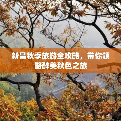 新昌秋季旅游全攻略，帶你領略醉美秋色之旅