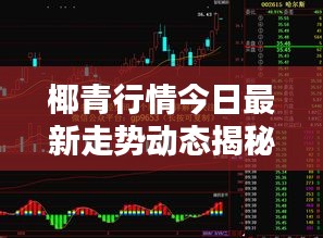 椰青行情今日最新走勢動(dòng)態(tài)揭秘