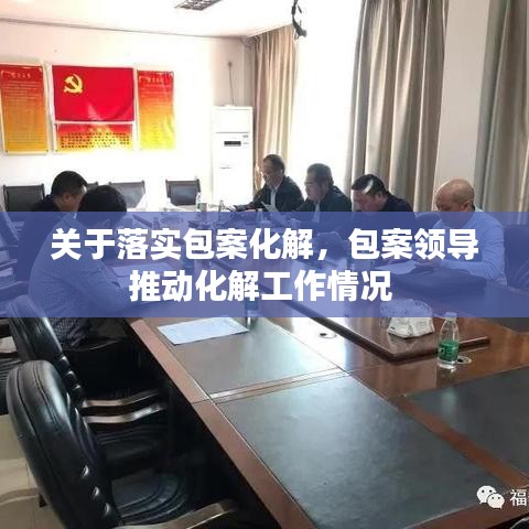 關于落實包案化解，包案領導推動化解工作情況 