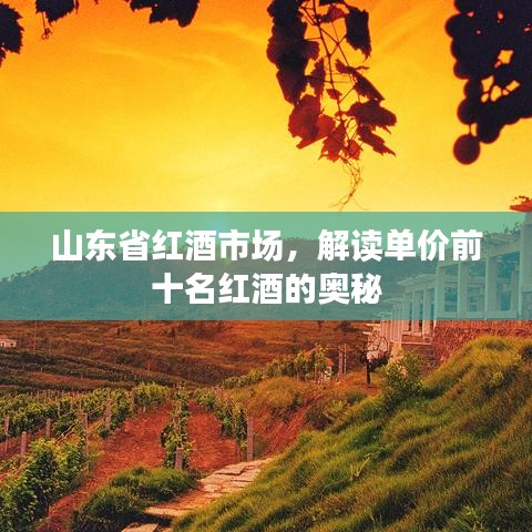 山東省紅酒市場(chǎng)，解讀單價(jià)前十名紅酒的奧秘