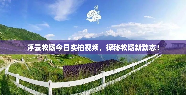 浮云牧場(chǎng)今日實(shí)拍視頻，探秘牧場(chǎng)新動(dòng)態(tài)！