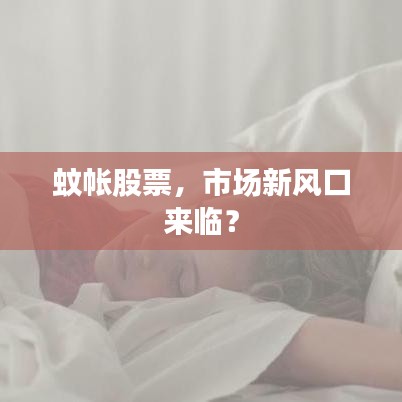 蚊帳股票，市場新風口來臨？