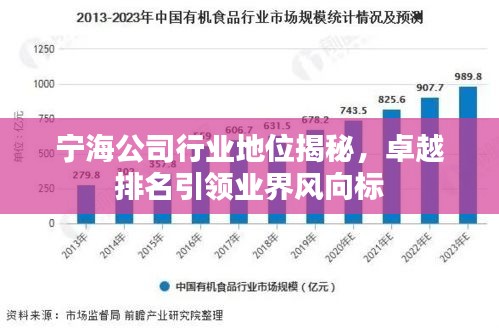 寧海公司行業(yè)地位揭秘，卓越排名引領(lǐng)業(yè)界風(fēng)向標(biāo)