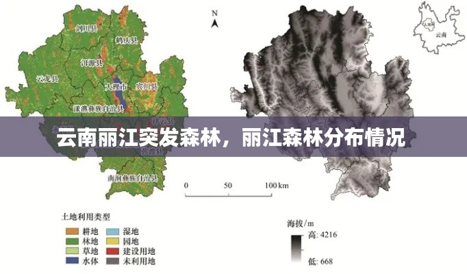 云南麗江突發(fā)森林，麗江森林分布情況 