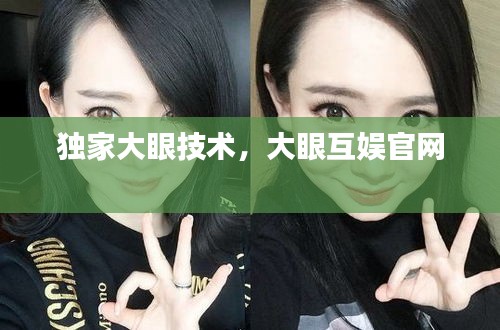 獨家大眼技術(shù)，大眼互娛官網(wǎng) 