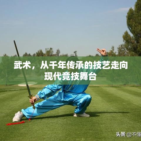 武術(shù)，從千年傳承的技藝走向現(xiàn)代競(jìng)技舞臺(tái)