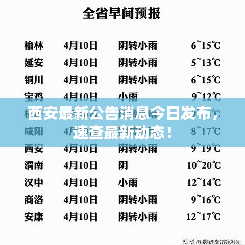 西安最新公告消息今日發(fā)布，速查最新動態(tài)！