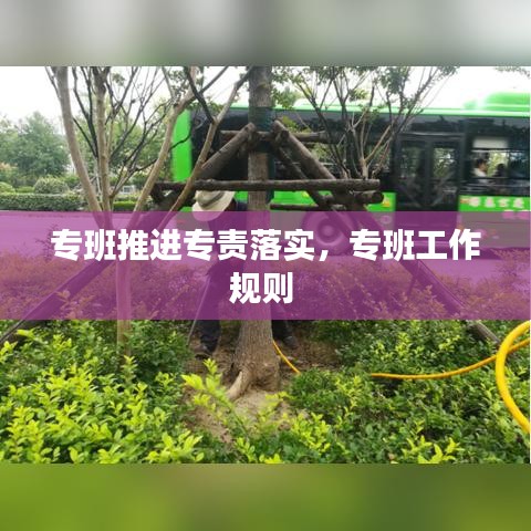 專班推進專責落實，專班工作規(guī)則 