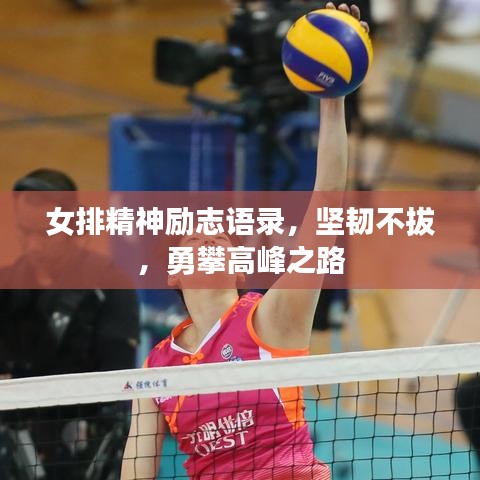 女排精神勵(lì)志語(yǔ)錄，堅(jiān)韌不拔，勇攀高峰之路