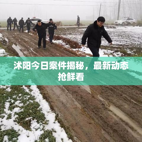 沭陽今日案件揭秘，最新動態(tài)搶鮮看