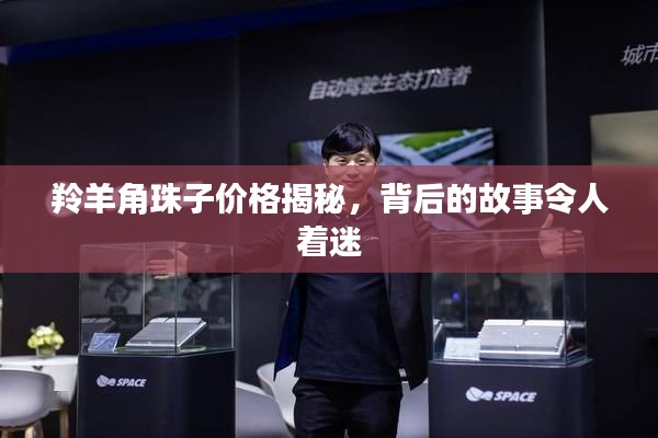 羚羊角珠子價(jià)格揭秘，背后的故事令人著迷
