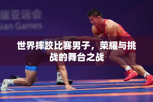 世界摔跤比賽男子，榮耀與挑戰(zhàn)的舞臺之戰(zhàn)