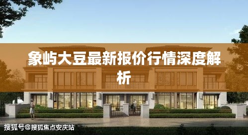 象嶼大豆最新報(bào)價行情深度解析