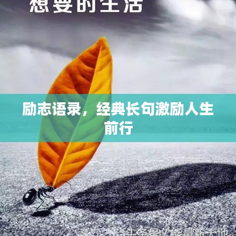 勵志語錄，經(jīng)典長句激勵人生前行