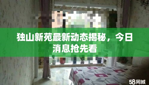 獨(dú)山新苑最新動態(tài)揭秘，今日消息搶先看