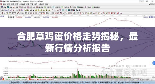 合肥草雞蛋價(jià)格走勢揭秘，最新行情分析報(bào)告