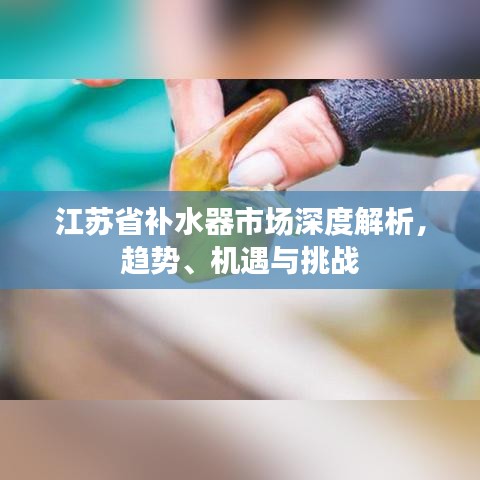 江蘇省補(bǔ)水器市場深度解析，趨勢、機(jī)遇與挑戰(zhàn)