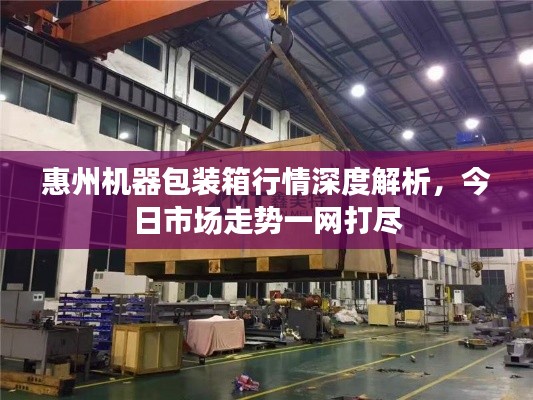 惠州機(jī)器包裝箱行情深度解析，今日市場(chǎng)走勢(shì)一網(wǎng)打盡