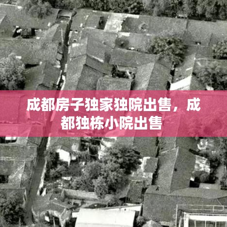 成都房子獨家獨院出售，成都獨棟小院出售 