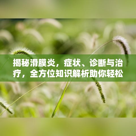 揭秘滑膜炎，癥狀、診斷與治療，全方位知識(shí)解析助你輕松應(yīng)對(duì)！