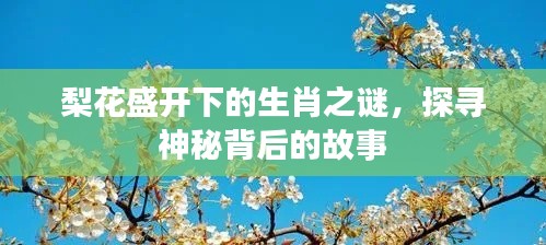 梨花盛開下的生肖之謎，探尋神秘背后的故事