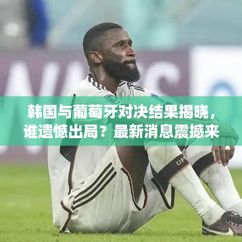 韓國與葡萄牙對決結(jié)果揭曉，誰遺憾出局？最新消息震撼來襲！