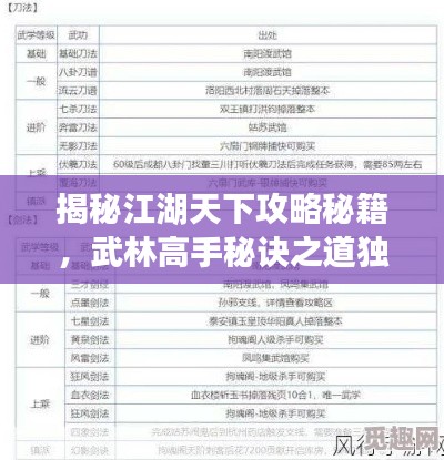 揭秘江湖天下攻略秘籍，武林高手秘訣之道獨(dú)家揭秘